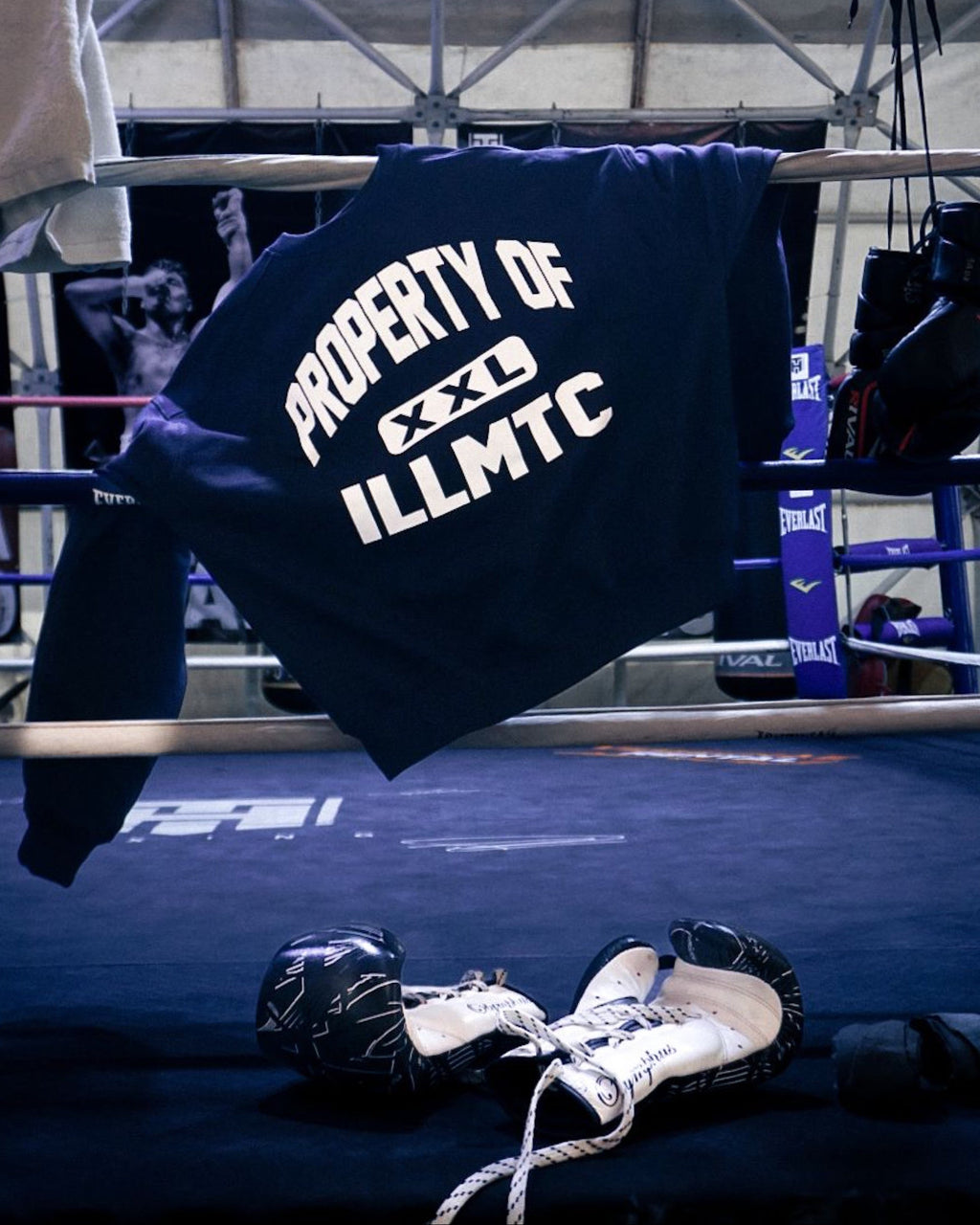 CREWNECK PROPERTY OF ILLMTC
